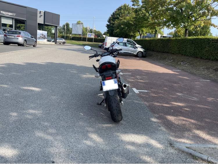 SUZUKI SV 650